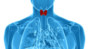 holistic thyroid treatment